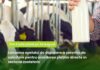 Din 6 iulie, fermierii pot solicita plăți pentru laptele comercializat în semestrul II al anului 2025