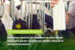 Din 6 iulie, fermierii pot solicita plăți pentru laptele comercializat în semestrul II al anului 2025