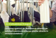 Din 6 iulie, fermierii pot solicita plăți pentru laptele comercializat în semestrul II al anului 2025