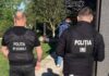 Descinderi în raioanele Edineț, Ocnița și Dondușeni într-un dosar de defrișări ilegale