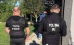Descinderi în raioanele Edineț, Ocnița și Dondușeni într-un dosar de defrișări ilegale