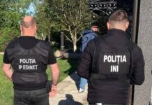 Descinderi în raioanele Edineț, Ocnița și Dondușeni într-un dosar de defrișări ilegale