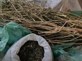 Bărbat din Pocrovca, cercetat pentru deținerea de droguri