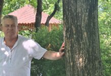 Vladimir Zgavordei:„Primarul este omul care trebuie să lucreze și să arate rezultate”