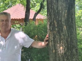 Vladimir Zgavordei:„Primarul este omul care trebuie să lucreze și să arate rezultate”