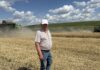 Aurul câmpurilor, adunat la Băhrinești. Secerișul este în plină desfășurare