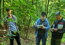 Inspectorii de mediu din Dondușeni au depistat cazuri de ambrozie și tăieri ilegale de arbori