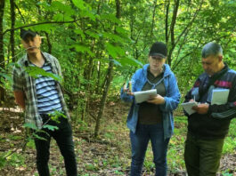 Inspectorii de mediu din Dondușeni au depistat cazuri de ambrozie și tăieri ilegale de arbori
