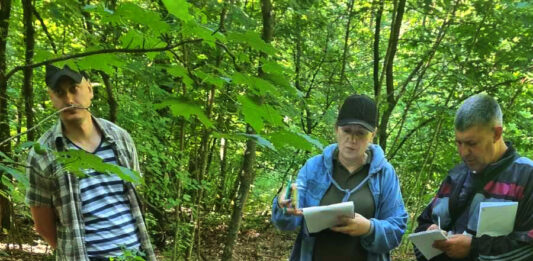 Inspectorii de mediu din Dondușeni au depistat cazuri de ambrozie și tăieri ilegale de arbori