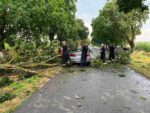 Intervenții ale Poliției din cauza vremii nefavorabile