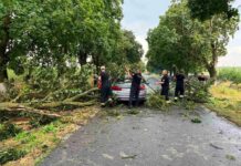 Intervenții ale Poliției din cauza vremii nefavorabile