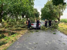 Intervenții ale Poliției din cauza vremii nefavorabile