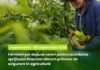 În perioada 1 septembrie – 30 septembrie, fermierii pot depune cereri pentru acordarea sprijinului financiar aferent primelor de asigurare în agricultură