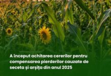 AIPA a început achitarea cererilor pentru compensarea pierderilor cauzate de seceta și arșița din anul 2025