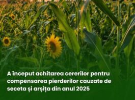 AIPA a început achitarea cererilor pentru compensarea pierderilor cauzate de seceta și arșița din anul 2025