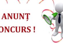 Primăria Pîrliţa anunță concurs pentru funcția de șef al Centrului Cultural din Pîrliţa și Vanţina