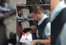 Percheziții antidrog la Soroca: doi bărbați, cercetați după descoperirea unor plante de cânepă și marijuana