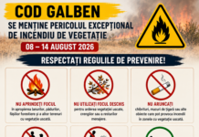 AVERTIZARE DE COD GALBEN: Pericolul excepțional de incendiu de vegetație