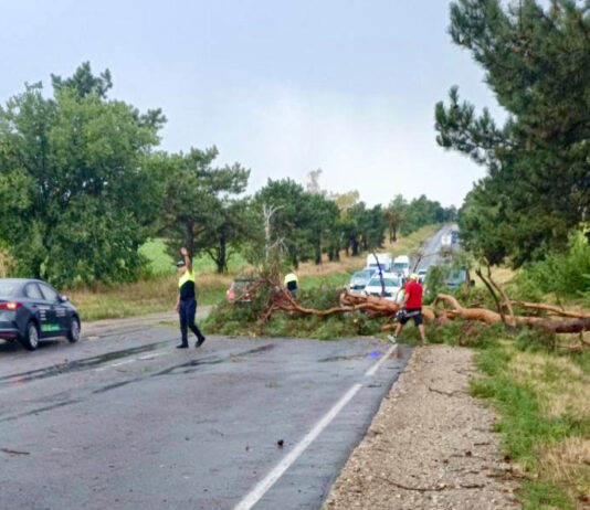 Ploile puternice au blocat un sector de drum din Drochia. Drumarii au intervenit prompt