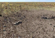 Două incidente la frontiera moldo-ucraineană după atacurile cu drone asupra Reni