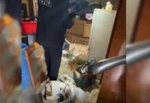 Substanță suspectă ridicată de polițiști de la un tânăr din Lunga