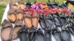 IMG_20260926_115151