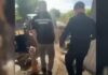 Afacere ilegală cu lemn, destructurată de polițiștii din Drochia