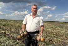 Mihai Mazurchevici: Pământul dă roadă, dar cine răsplătește munca agricultorului?