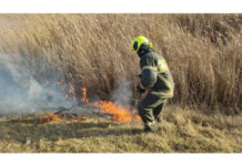 Intervenția pompierilor la lichidarea unui incendiu de vegetație în raionul Ocnița