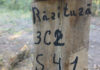 Pădurar din Soroca, amendat pentru exploatarea pădurii cu bilet silvic expirat