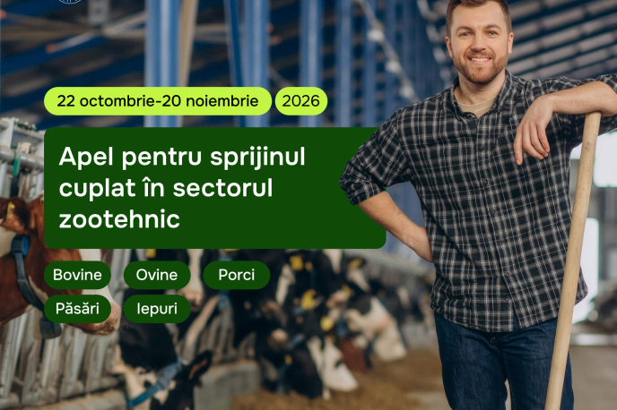 facebook sprijinul cuplat (1)
