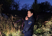 Tăieri de arbori și cazuri de depozitare neautorizată a deșeurilor, depistate la Florești