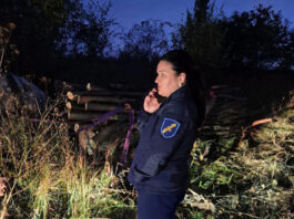 Tăieri de arbori și cazuri de depozitare neautorizată a deșeurilor, depistate la Florești